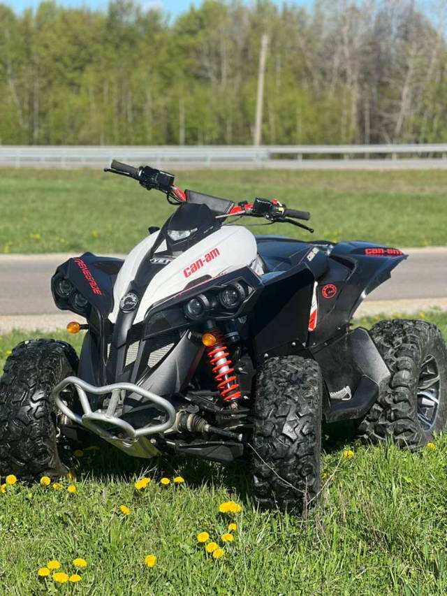 Can-Am Renegade Quad