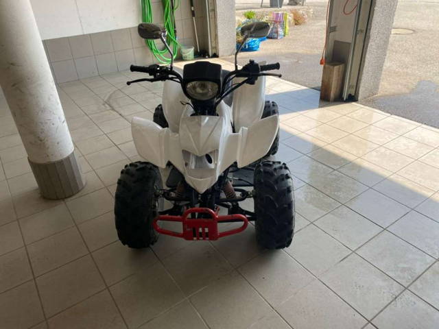 Bashan Bs200S-3 Quad