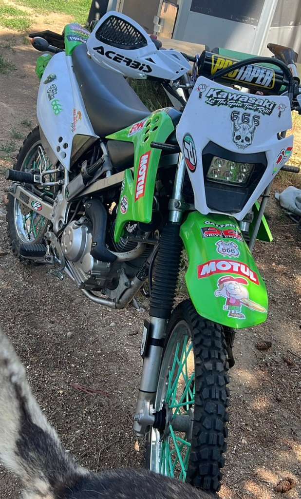 Kawasaki KLX 125 Enduro