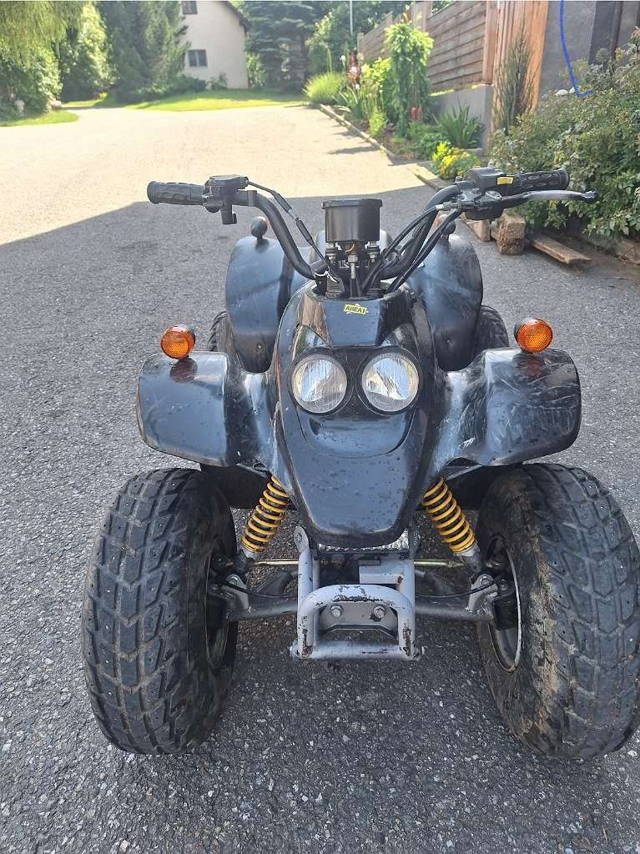 Explorer Cracker 100 ccm Quad