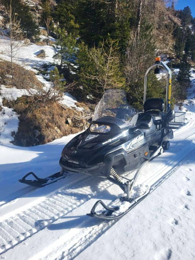 Lynx Yeti Bombardier Rotax V1300 Schneemobil