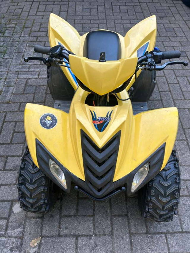 Dinli Cobia 50 Quad