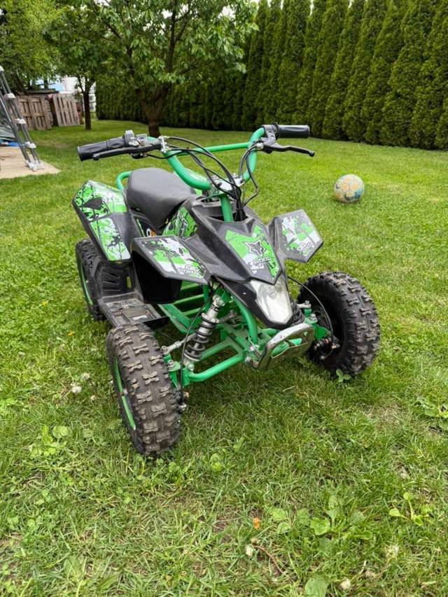Kinder Quad 1000W 48v Quad