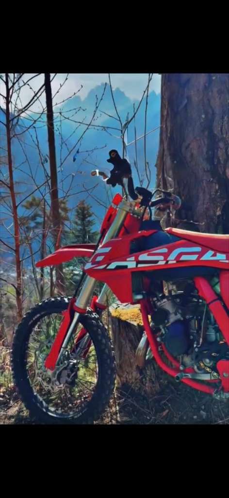 GasGas GasGas MC85 Motocross