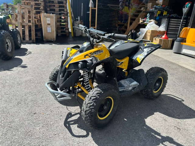 Nitro Motors Renegade Elektroquad 1000W 36V Quad