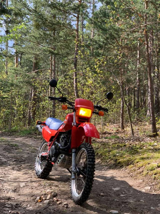 Honda XL HONDA XL 500 R, 4-Fache Bereifung! Enduro