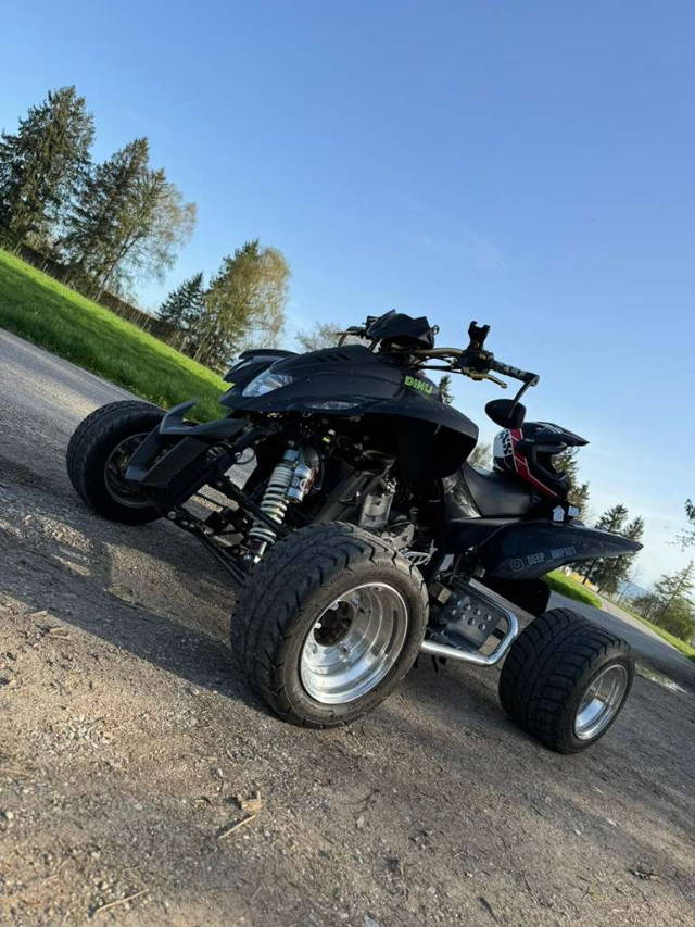 Dinli 450 Special S Quad