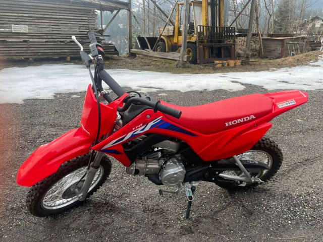 Honda CRF 110 F Motocross