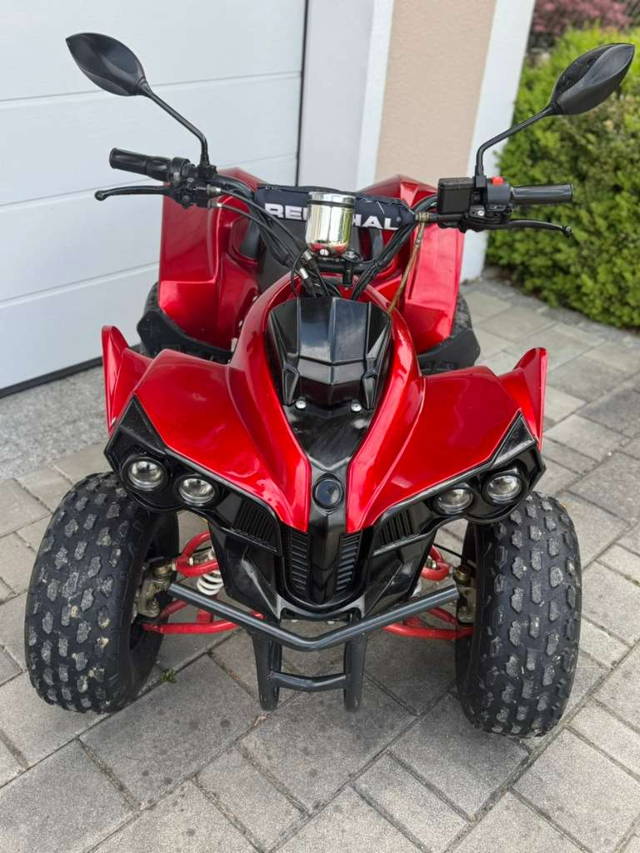 Elektro Kinder Quad 1000 Watt Dirtbike Cross  bike Quad