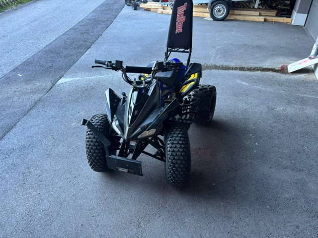 Quad