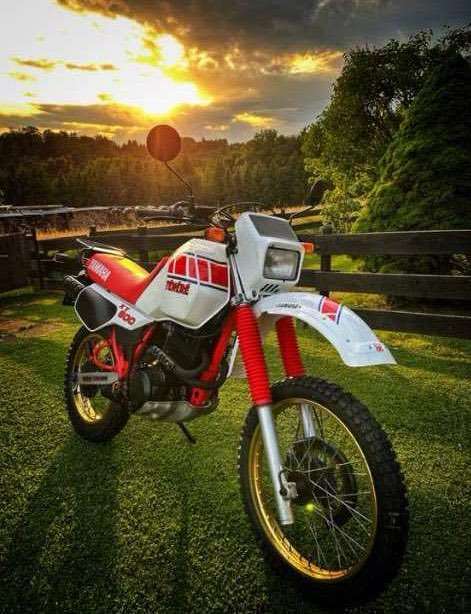 Yamaha XT 600 55W Enduro