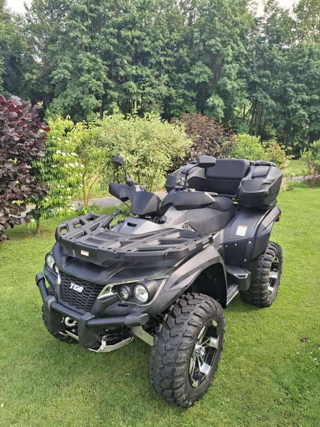 TGB Blade TGB Blade 1000EFI EPS 4x4 IRS Quad