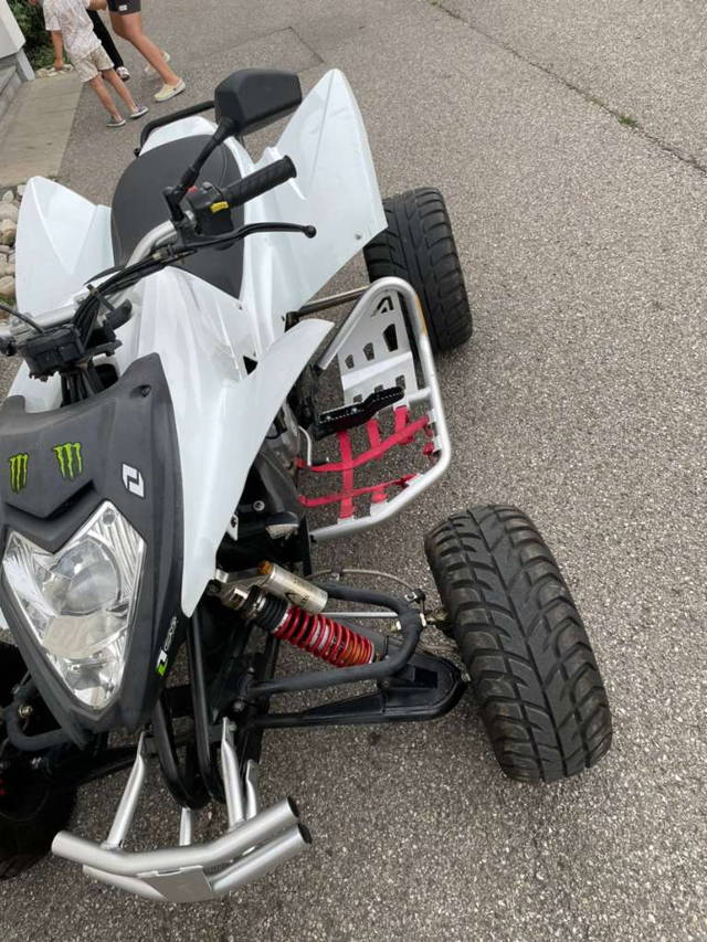 Beeline Bestia Quad