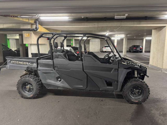 Arctic Cat Wildcat Quad