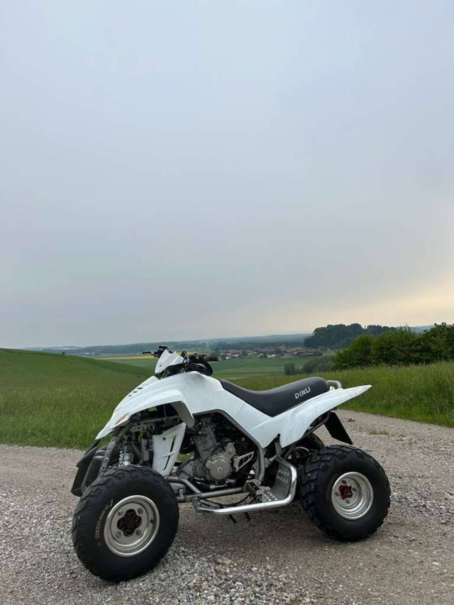 Dinli 450 DL901 Trasher Spezial Quad