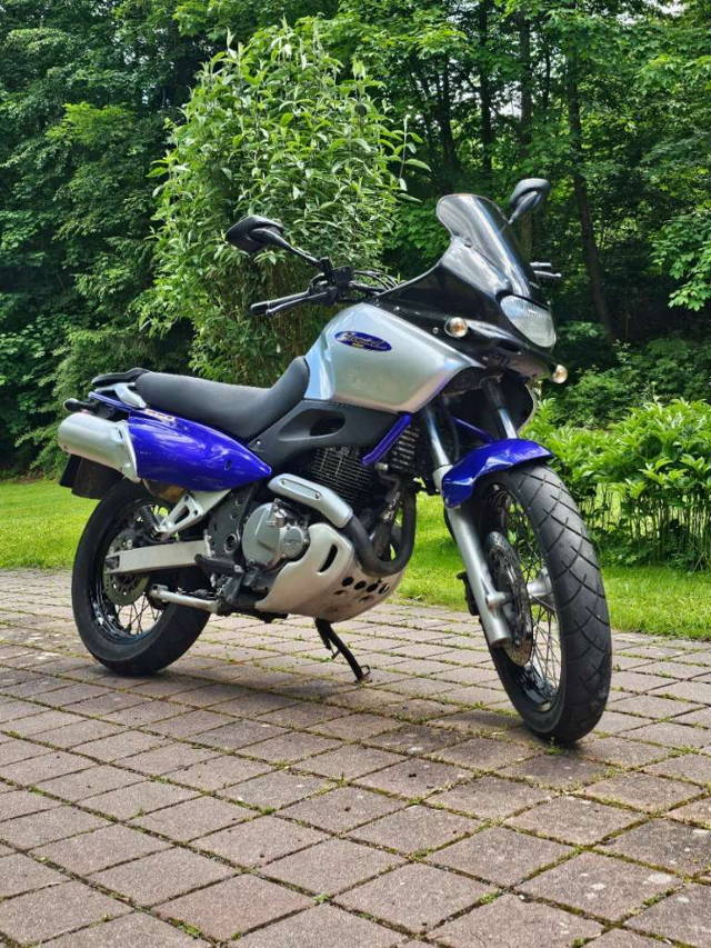 Suzuki XF 650 Freewind Tourer