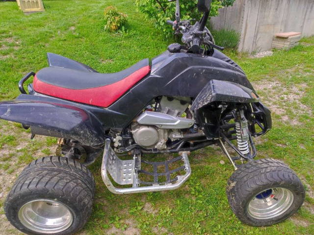 Dinli 450 Trasher 450 Quad