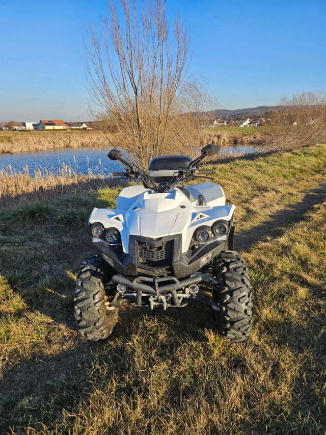 Dinli Centor 800 Evo Pickerl bis 07/26 Quad