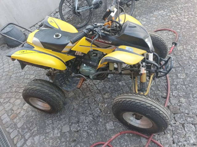 Bashan Quad