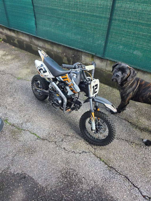S-Moto Motocross