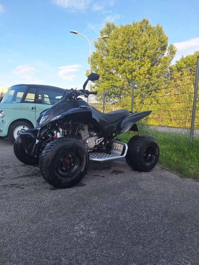 Dinli 450 Quad