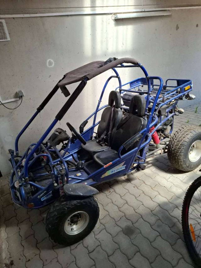 Buggy 300 XRX Quad