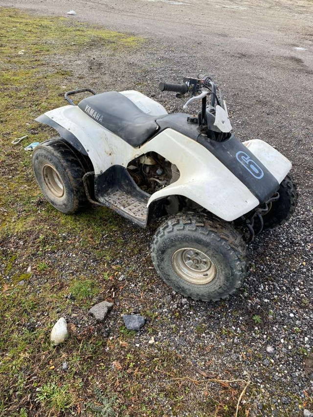 Yamaha Breeze 125ccm Quad