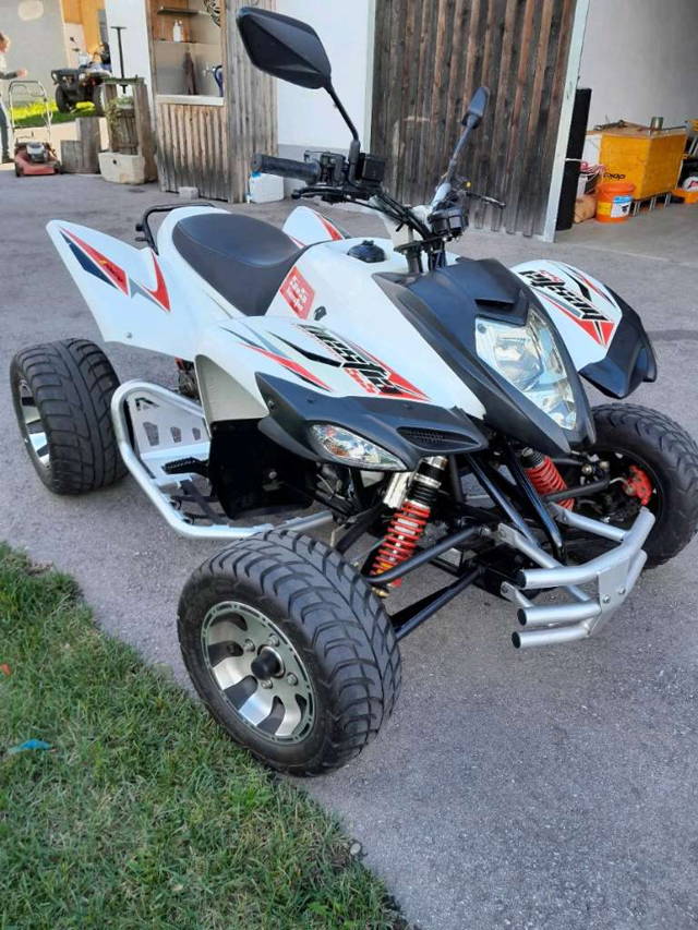 Beeline Bestia 5.5 Quad