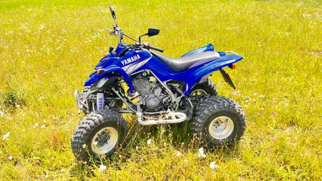 Yamaha YFM Quad
