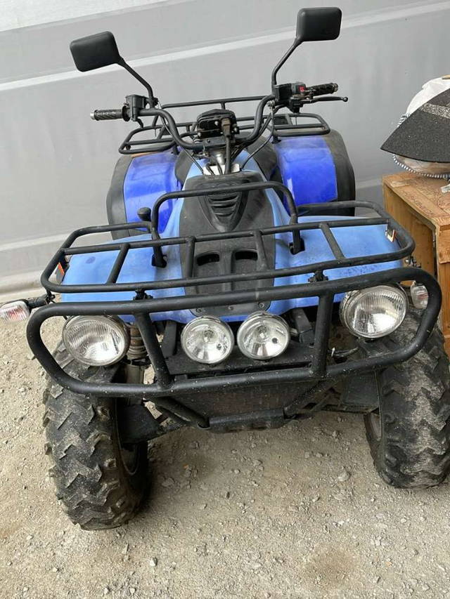 Linhai 300 Quad
