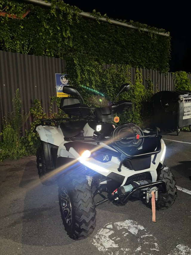 Linhai 350 Quad