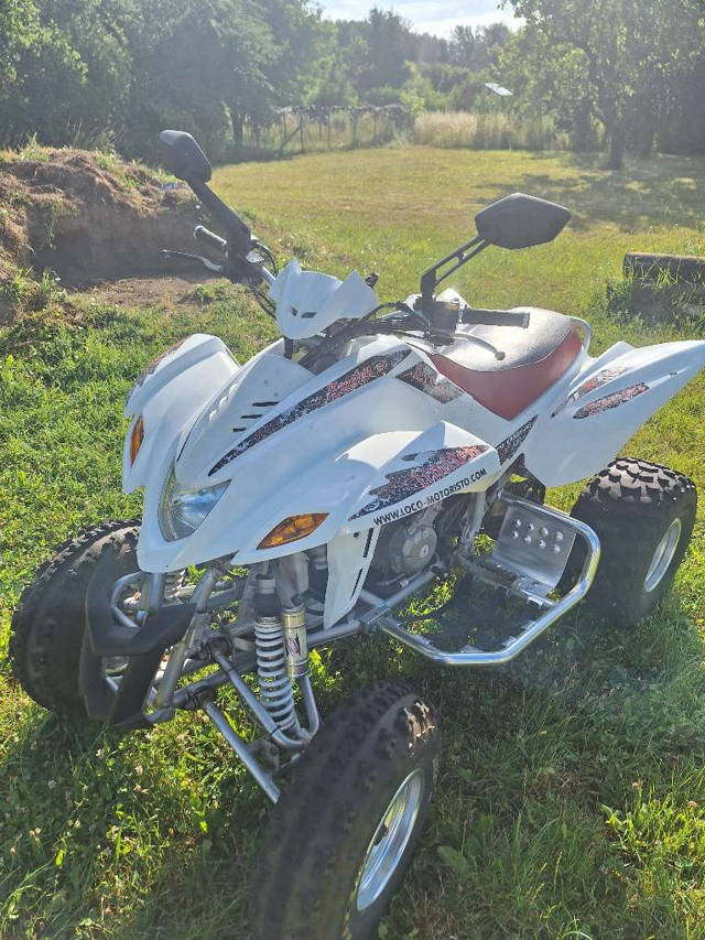 Dinli 450 Trasher 450 Quad