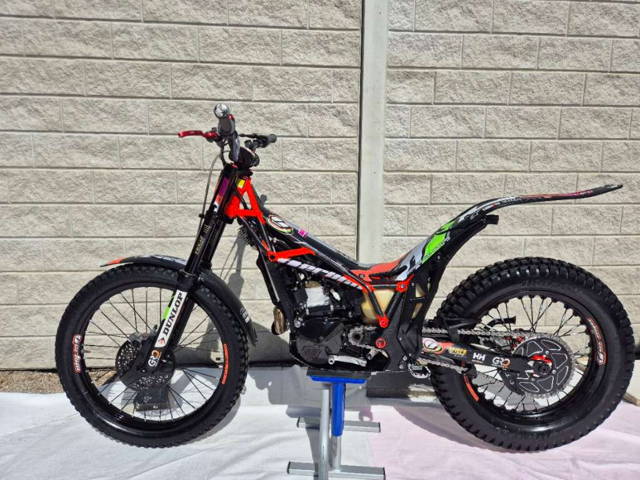 Vertigo Busto "Limited Edition " Trial