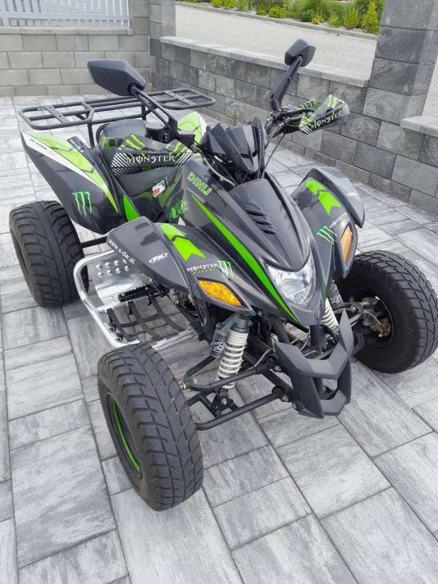 Dinli 450 Special S Quad