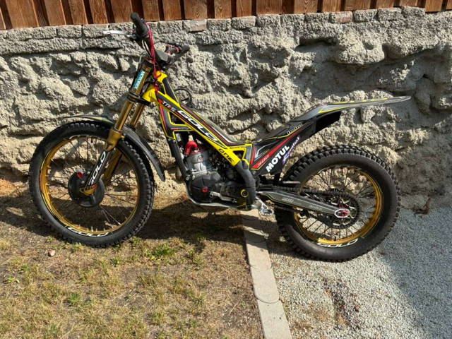 TRS TRS one Gold 2020 Edition Trial