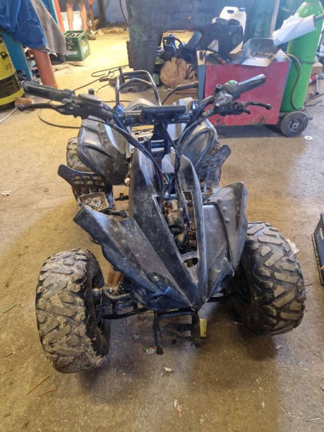 Quad