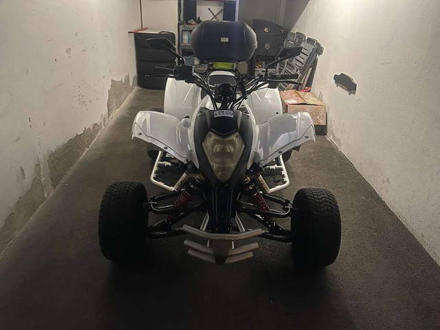 Beeline Bestia Quad