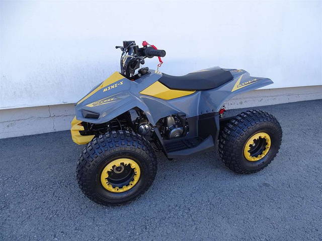 Access MiniSport 110 Mini Quad