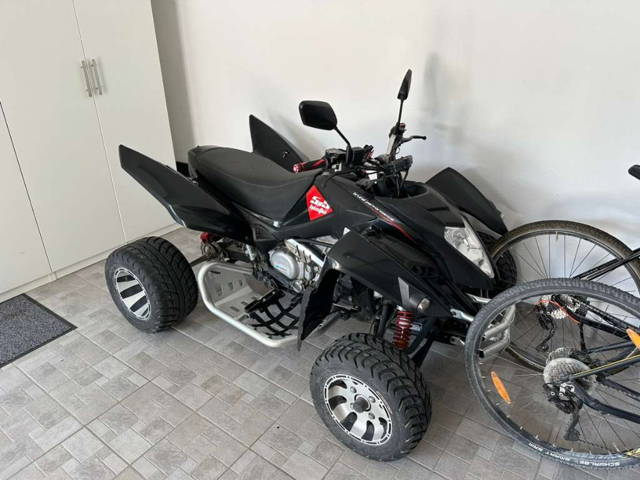 Beeline Bestia 5.5 Quad