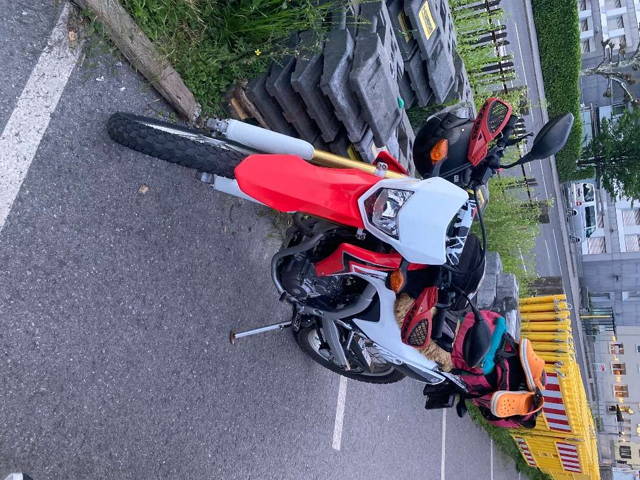 Honda CRF 250 L Enduro