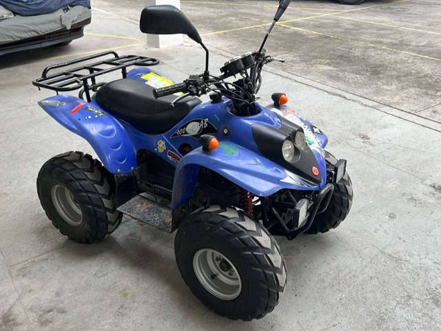 (reserviert) CPI Crab 100ccm 2Takt Quad Quad