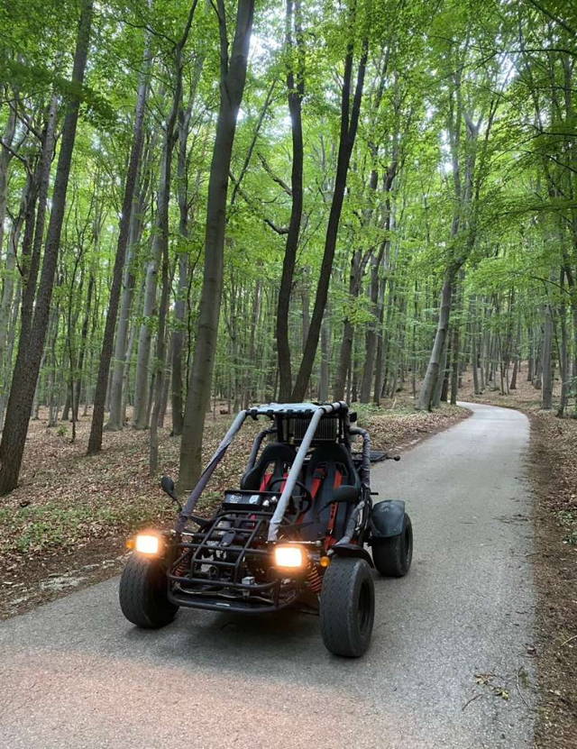 DAZON Buggy 250 mit Straßenzulassung Quad