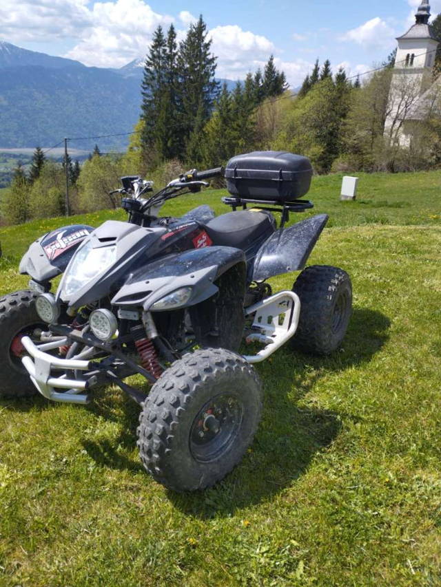 Beeline Bestia Quad Bestia Quad