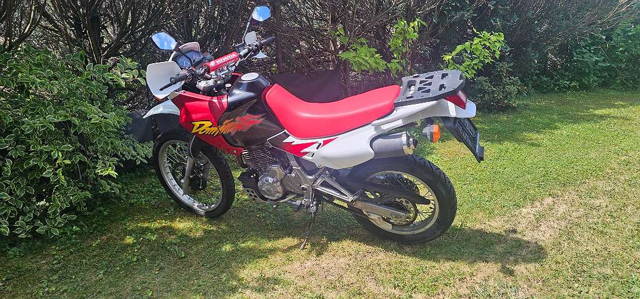 Honda NX 650 Dominator Enduro