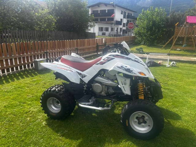 Dinli 450 Quad