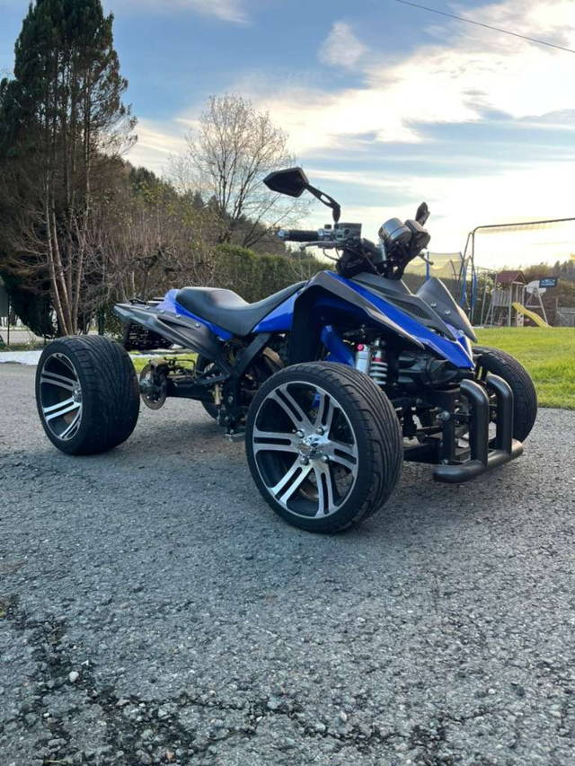 Spy 250 F1 Quad