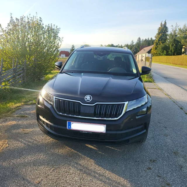 Skoda Kodiaq Style 2,0 TDI SCR DSG LED RFK Standheizung SUV / Geländewagen