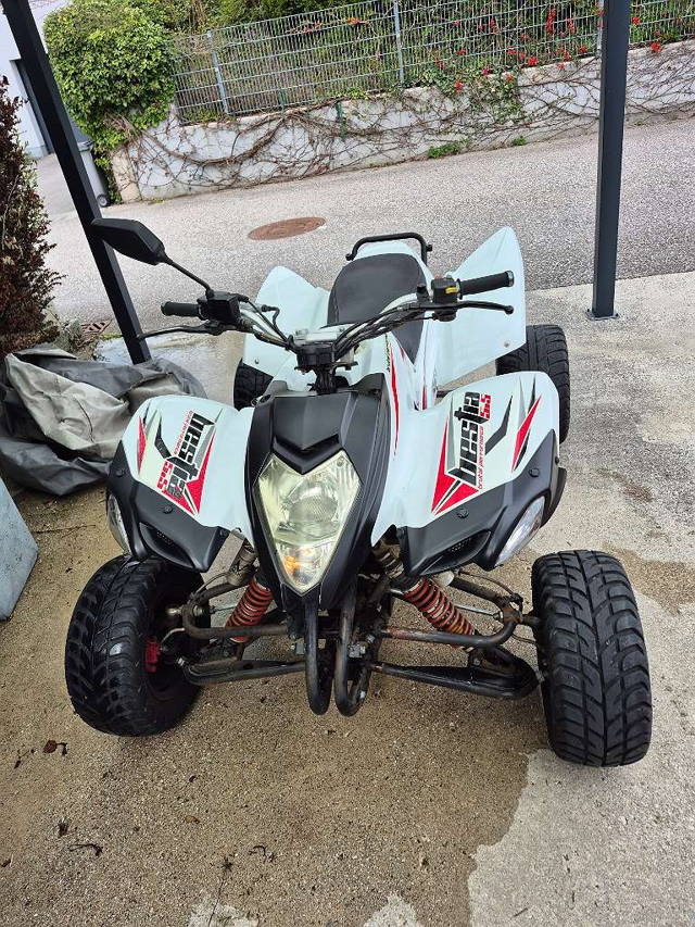Beeline Bestia 5.5 Quad