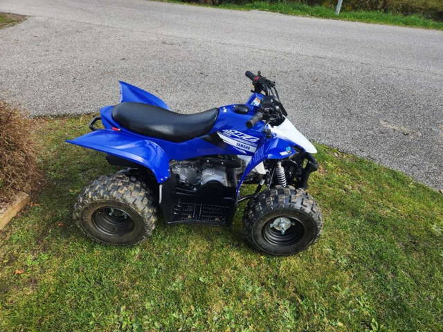 Yamaha YFZ Quad