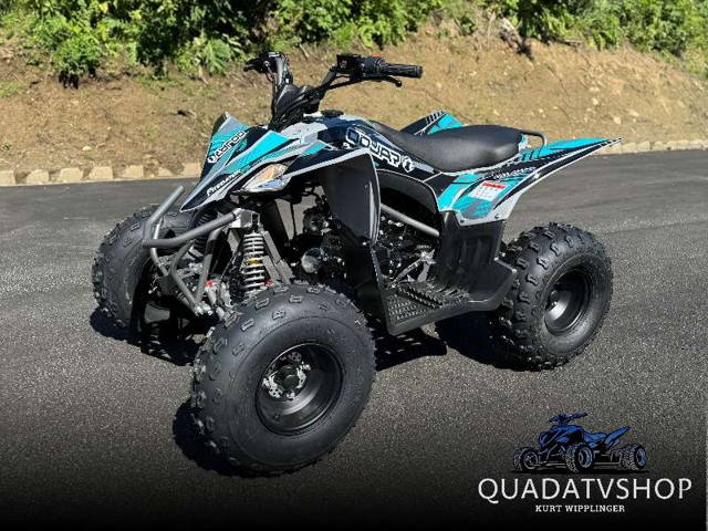 Apollo Mikilon Kinder & Jugenquad Predator 125cc ** TOP QUALITÄT ** jetzt auch mit Teilzahlun...